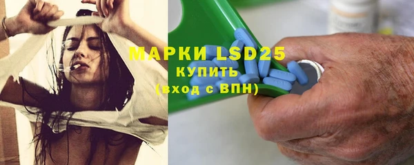 Альфа ПВП Аркадак