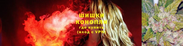 Альфа ПВП Аркадак