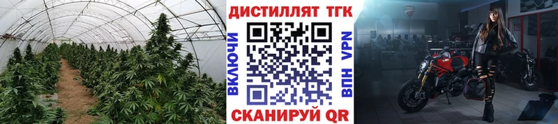Дистиллят ТГК THC oil  MEGA ССЫЛКА  Балашов  где купить  