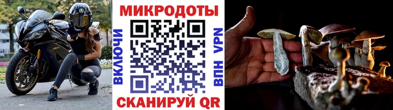 Галлюциногенные грибы Magic Shrooms  Балашов 